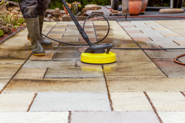 Best Animal Enclosure Cleaning  in Ambler, PA